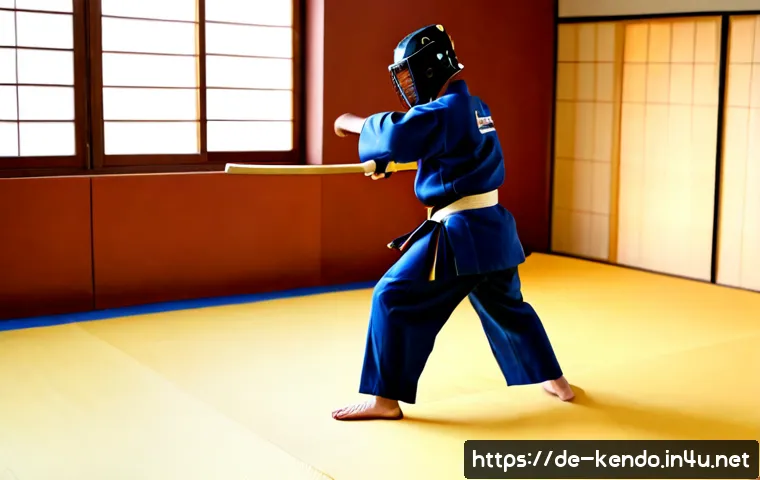 검도와 다른 무술 비교 관련 이미지 1